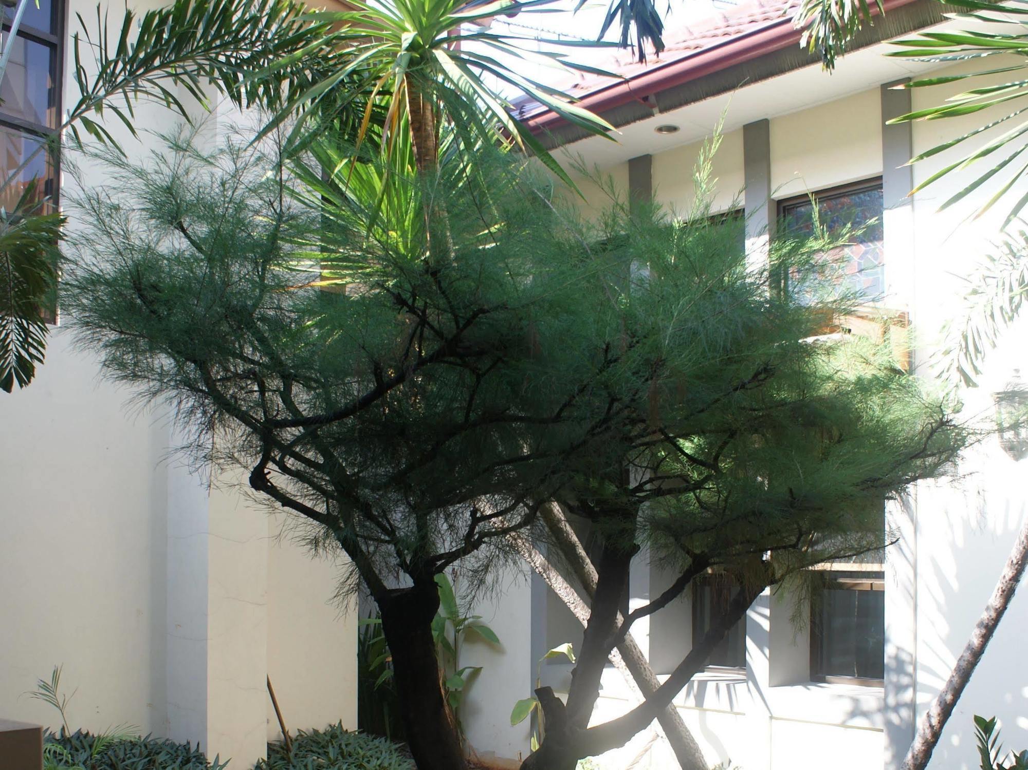 Sofyan Hotel Soepomo Jakarta Exteriör bild
